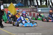 DSC_7936 (2)